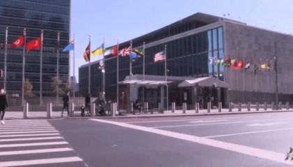 万万没想到！俄乌打了三年多，竟是俄先“加入”北约？普京高兴坏了