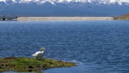 NCE外汇平台入金安全性评估：多重保障与风险应对