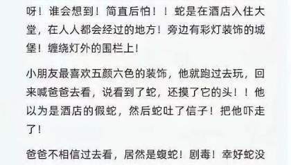 酒店大堂发现剧毒蛇，小孩以为是假蛇还摸了蛇头，涉事酒店回应：已放生，酒店增设驱蛇装置