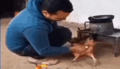 粘着鸡毛鸡屎的土鸡蛋，要先洗干净再放冰箱吗？