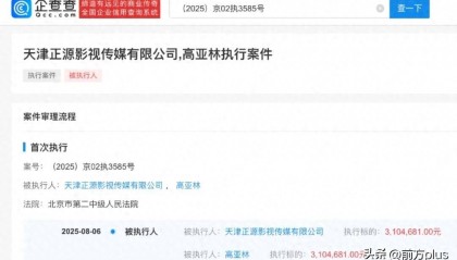 《家有儿女》“夏东海”扮演者高亚麟，被执行310万余元！