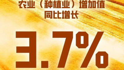 “数”说中国经济秋季报！含金量有多少？