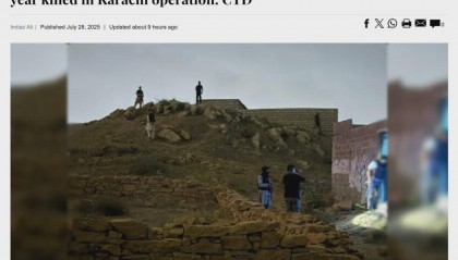 袭击过中国人的他们，被击毙！