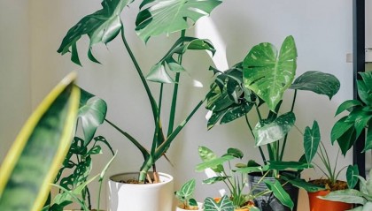 你知道期权开户要多少资金要求吗？