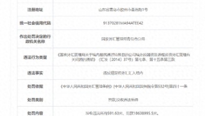 违法所得几百元，罚款达1800多万 国家外汇管理局青岛市分局回应