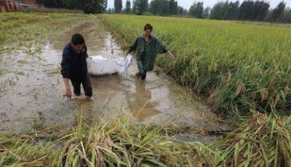 原创“做天难做四月天”是什么意思，有什么哲理？