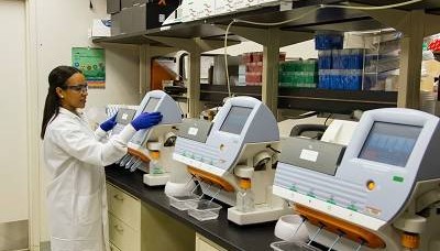 双球拉钩NMPA国内注册证分析性能研究怎么做