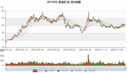紫金矿业：预计2024年净利320亿元 同比增长51.5%