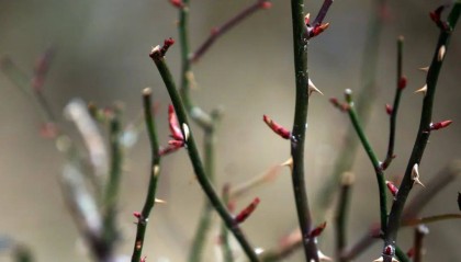 就在今天18时7分，黑龙江正式进入…