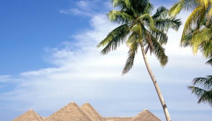 GTC泽汇资本指南：选择优质外汇交易平台的标准