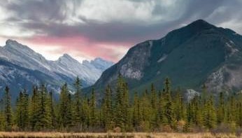 NCE外汇如何在外汇交易中脱颖而出？