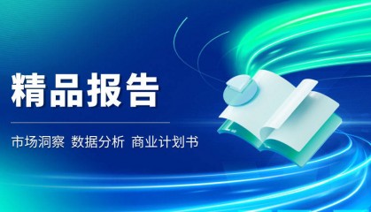 2024年外汇交易平台市场发展现状解析与前景预测报告
