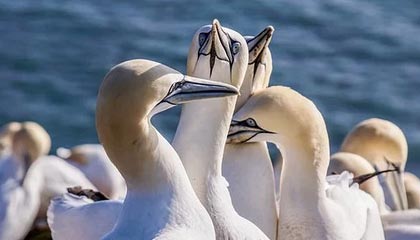 淘宝做控价是什么意思