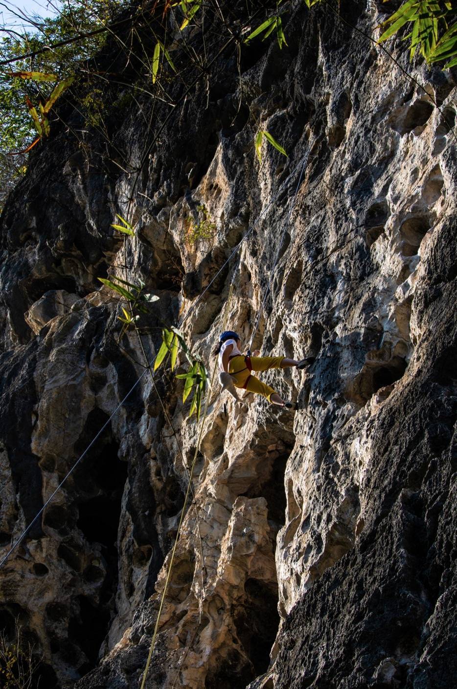 “一上墙就心静了”,当代年轻人迷上攀岩,王石、周鸿祎也投资开岩馆