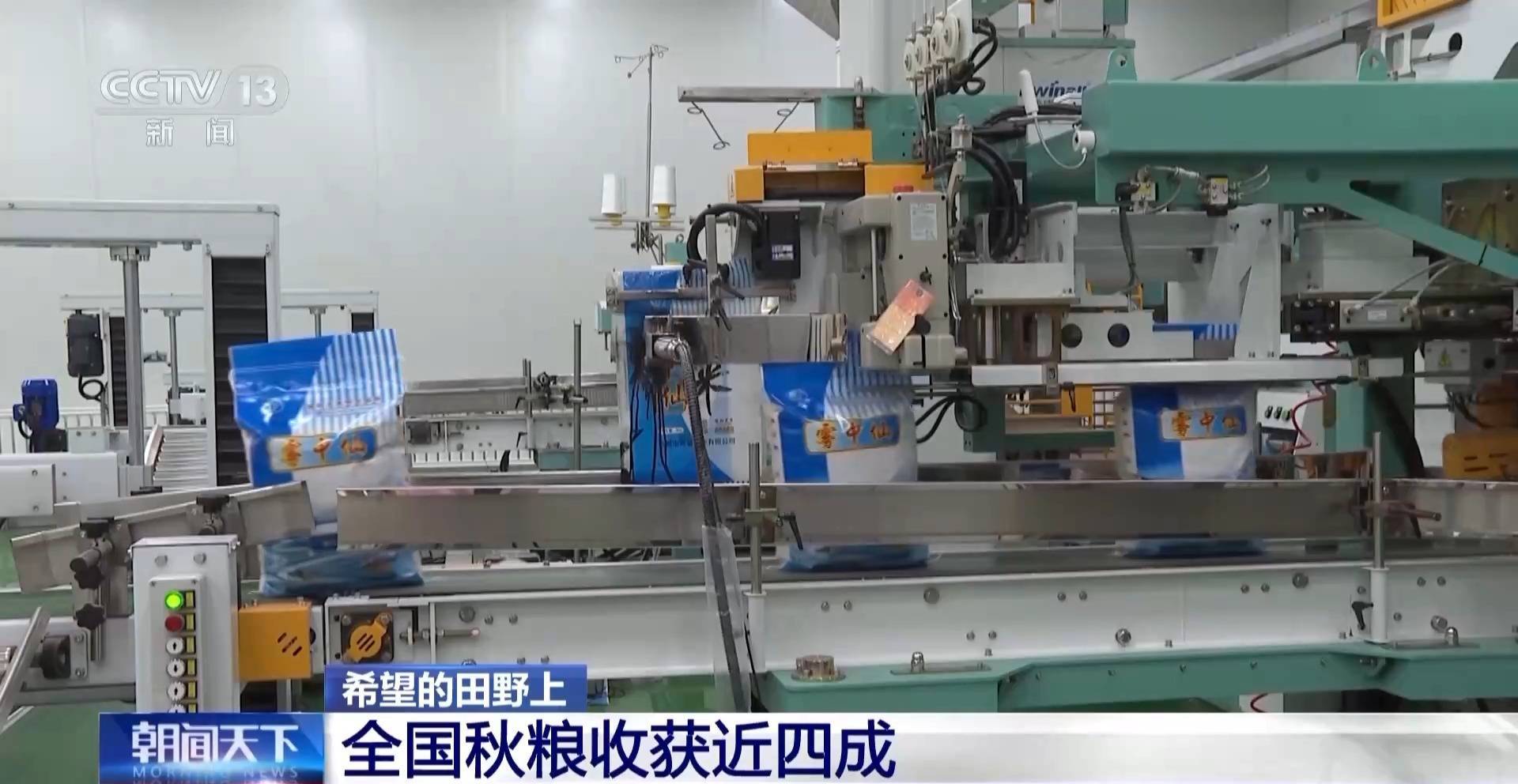 一大批农产品正走向你的餐桌！全国秋粮收获近四成