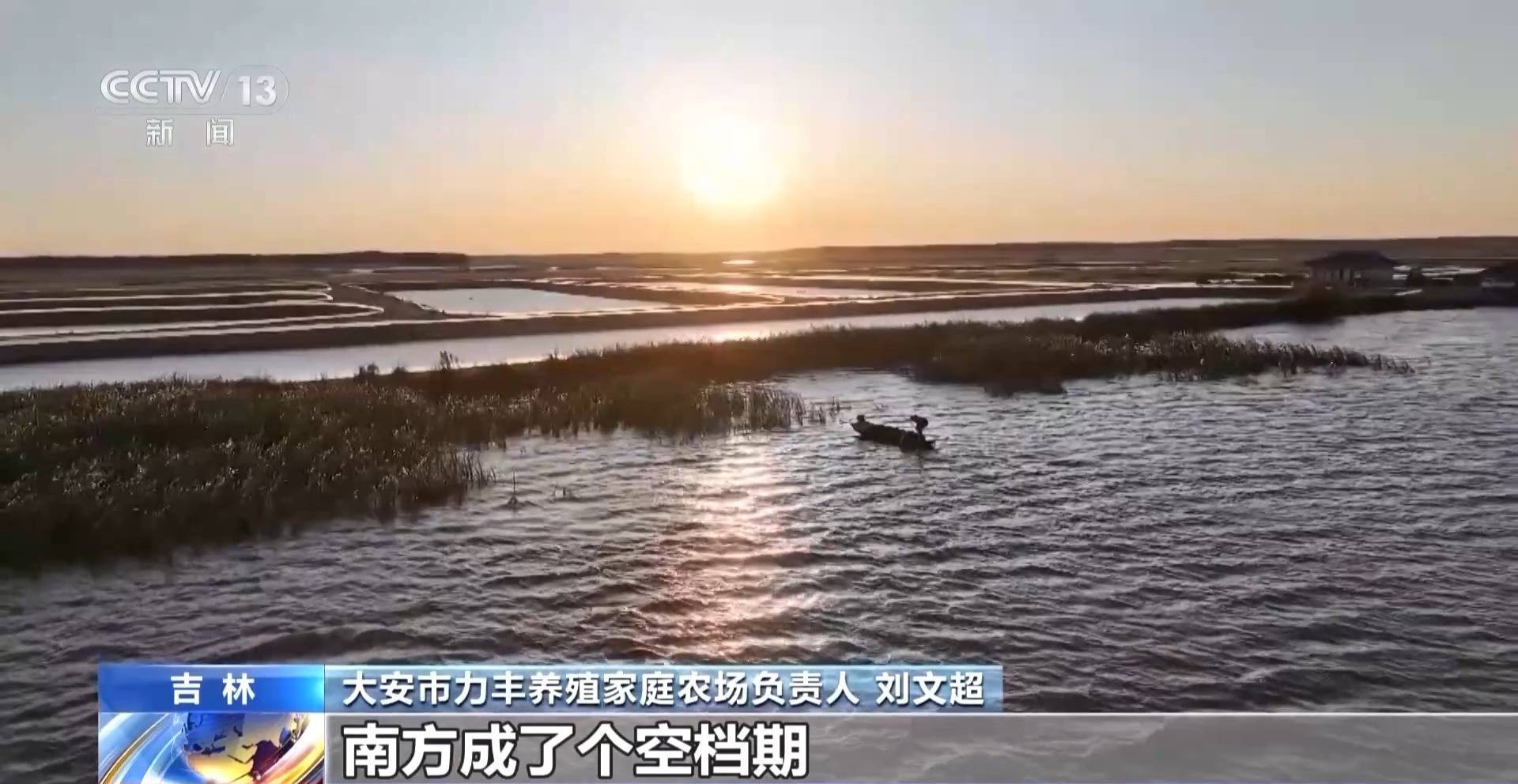 一大批农产品正走向你的餐桌！全国秋粮收获近四成
