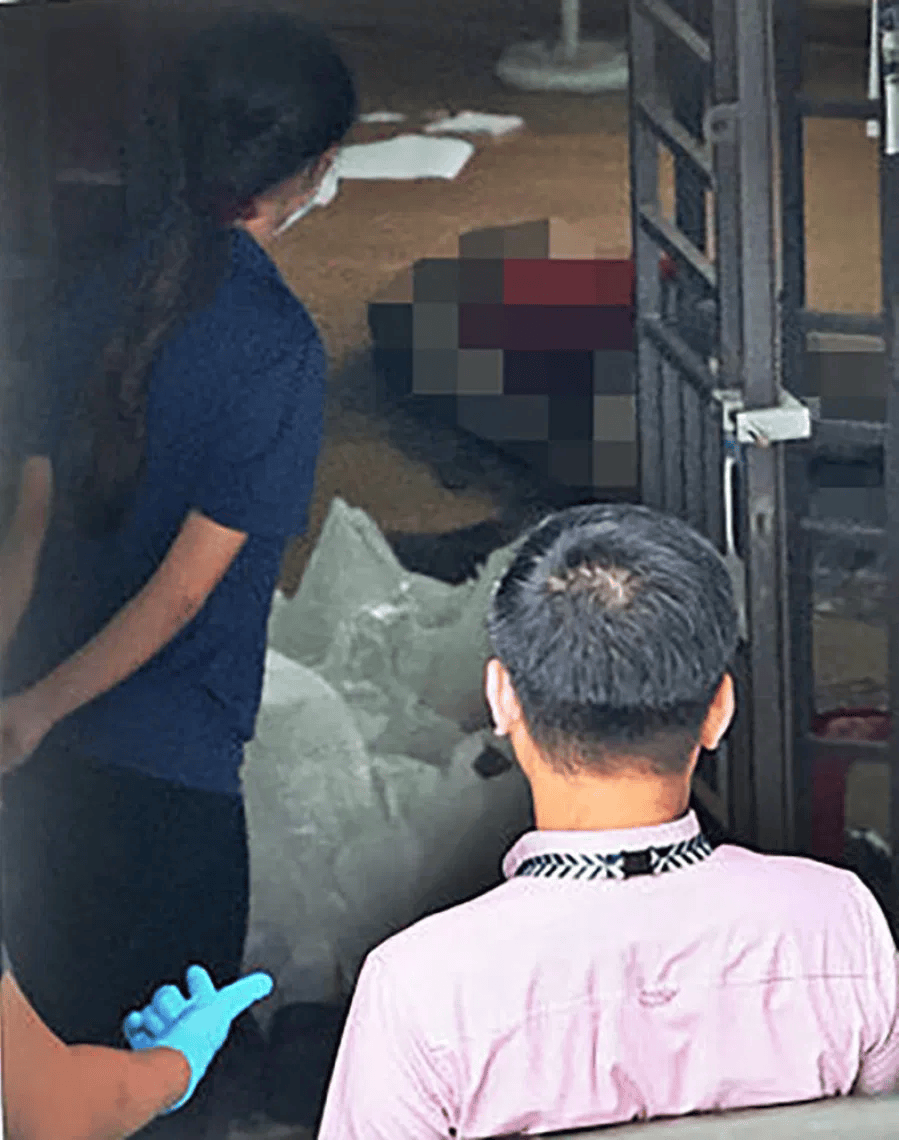 新加坡现双尸案:父亲成白骨,剑桥博士女儿疑饿死,一家来自东北