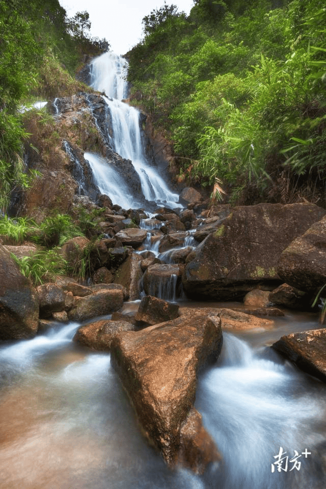 镇街周报｜佛山“双节”文旅成绩单出炉，谁最吸睛
