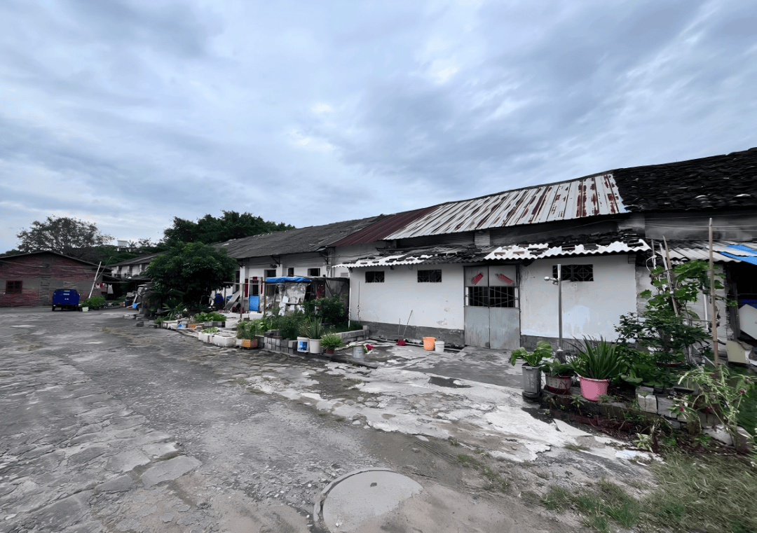 上大分!人民路上为人民