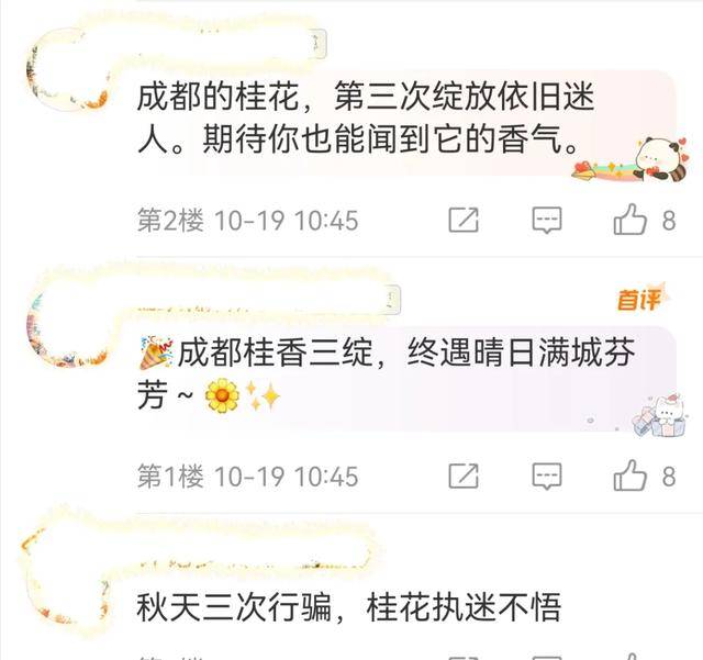 成都桂花又开了?原来是因为……