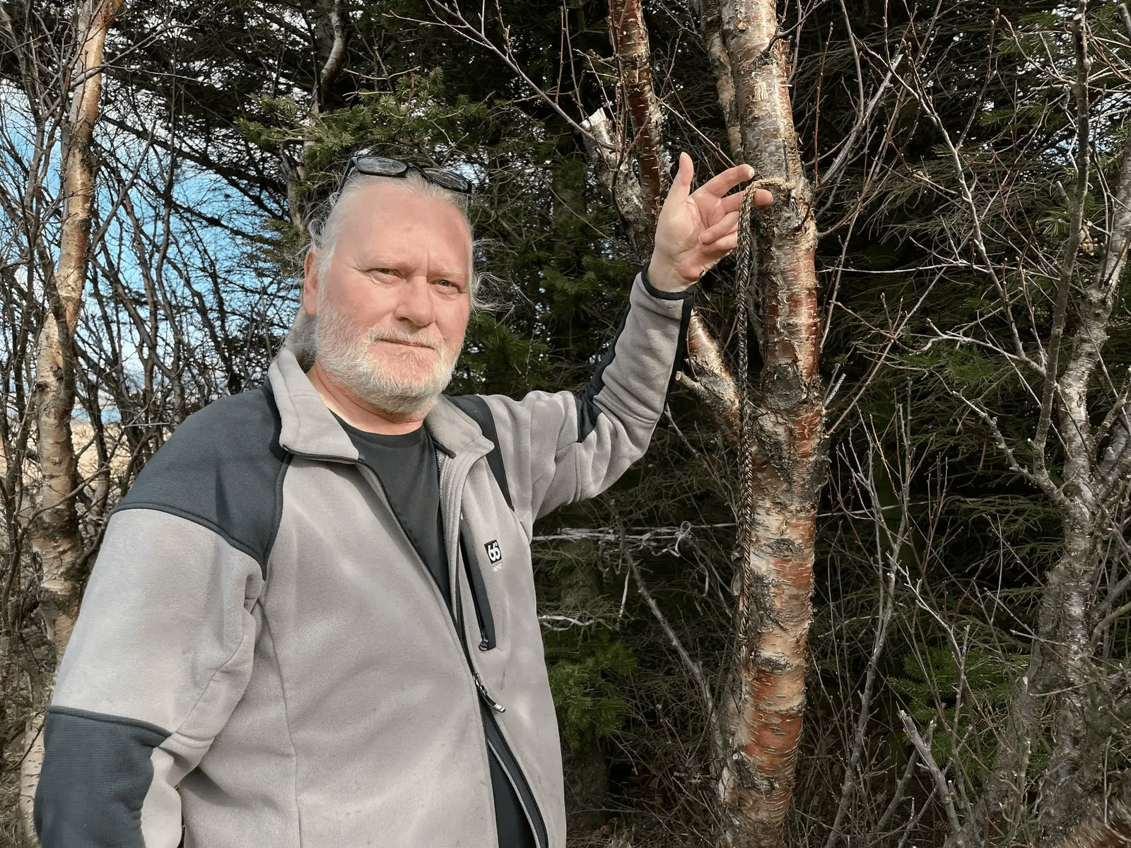 “无蚊国”失守:冰岛境内首次发现蚊子