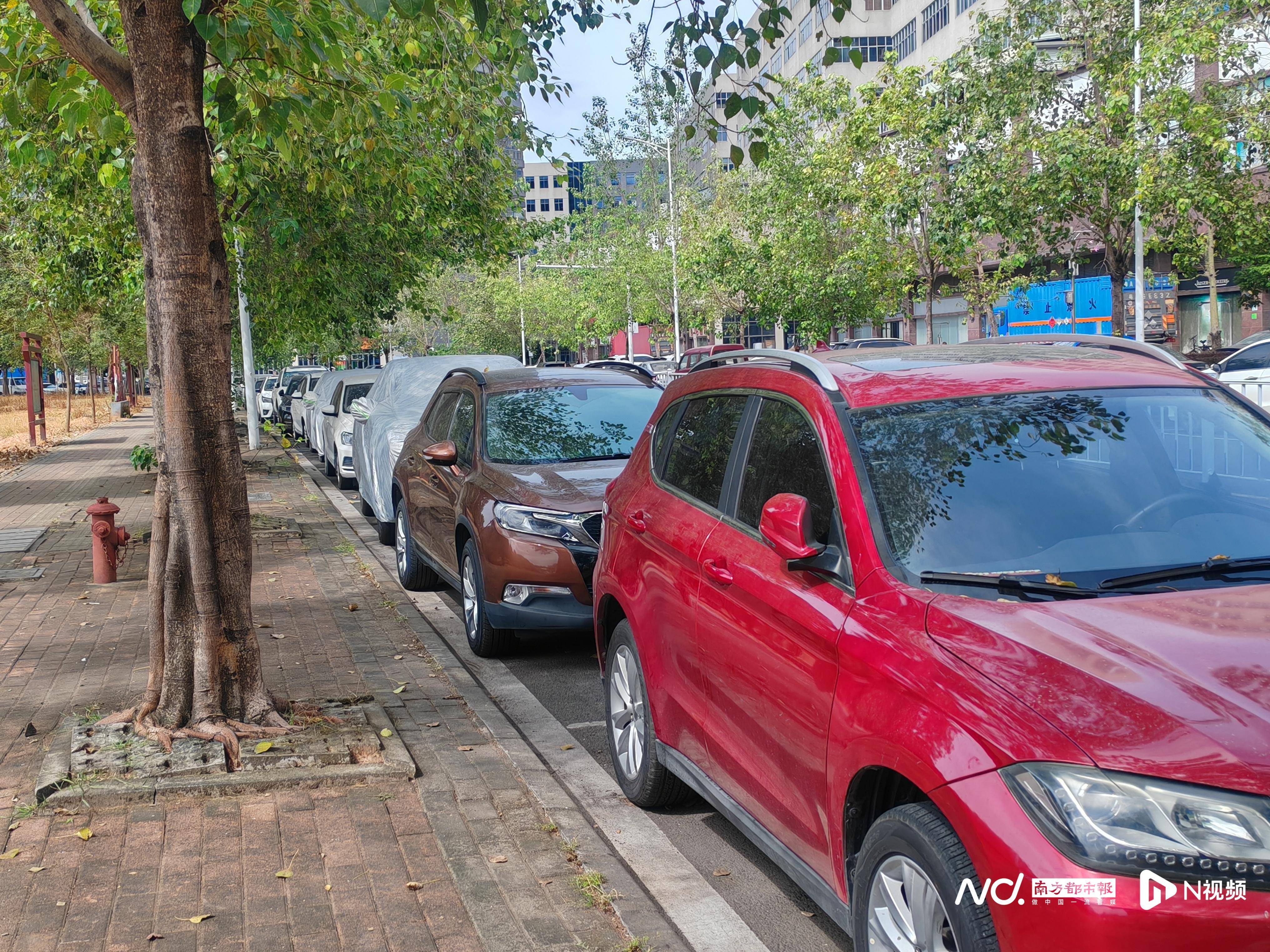 东莞一村告示：停放超过五日的“僵尸车”，或将拖车处理